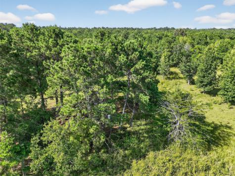 7449 Highway 61 Highway Hankamer TX 77560