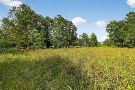 7449 Highway 61 Highway Hankamer TX 77560