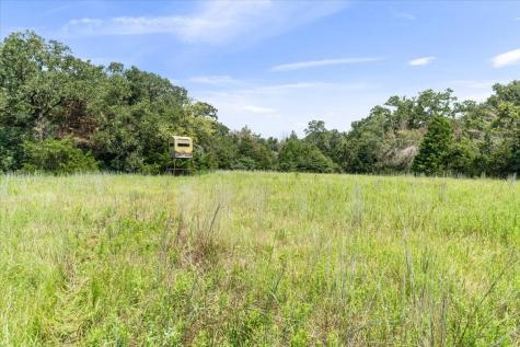 00 Lcr 732 Thornton TX 76687