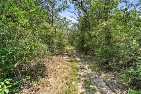 00 Lcr 732 Thornton TX 76687