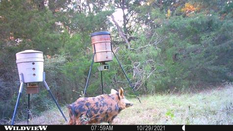 00 Lcr 732 Thornton TX 76687