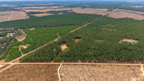 1208 Holly Grove Road Livingston TX 77351