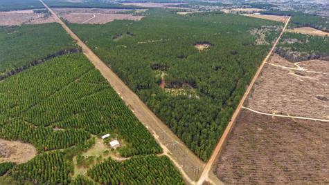 1208 Holly Grove Road Livingston TX 77351