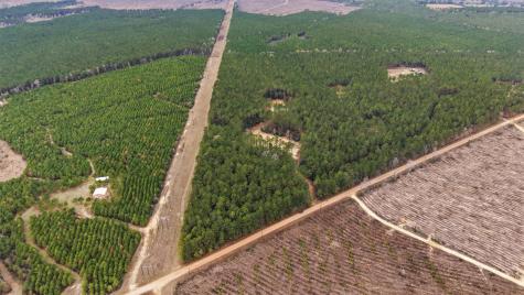 1208 Holly Grove Road Livingston TX 77351