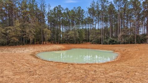 1208 Holly Grove Road Livingston TX 77351