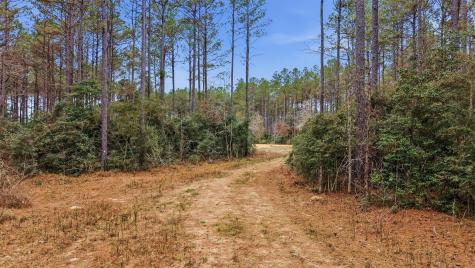 1208 Holly Grove Road Livingston TX 77351
