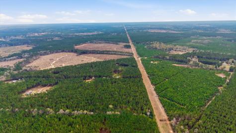 1208 Holly Grove Road Livingston TX 77351