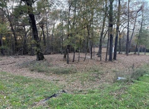 0 Mossy Drive Livingston TX 77351