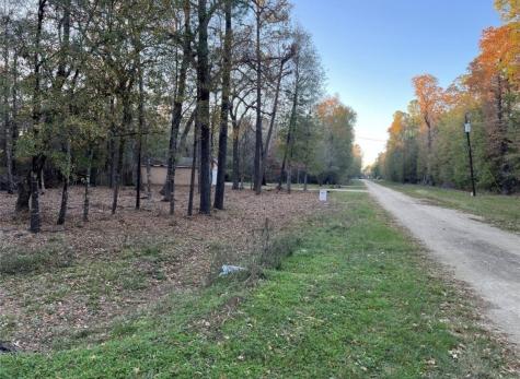 0 Mossy Drive Livingston TX 77351