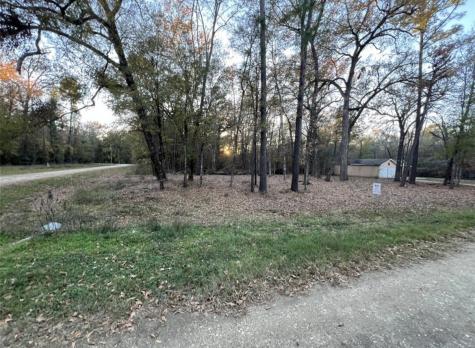 0 Mossy Drive Livingston TX 77351