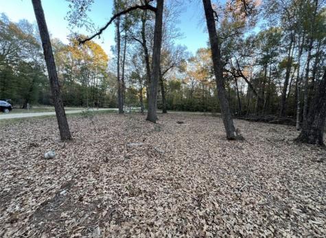 0 Mossy Drive Livingston TX 77351