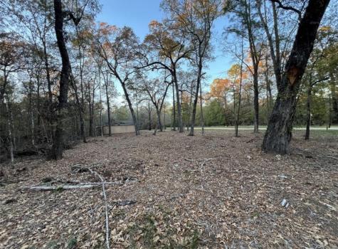 0 Mossy Drive Livingston TX 77351