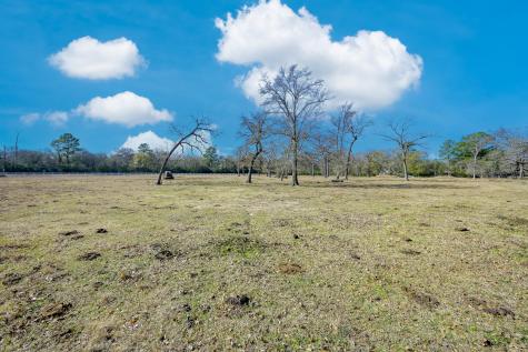 26071 Forest Hills Lane Waller TX 77484