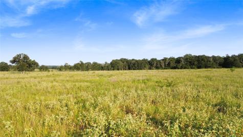 727 Buckhorn Creek Drive Crockett TX 75835