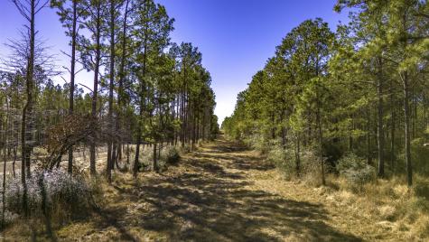 045 S King Ranch Road Onalaska TX 77360