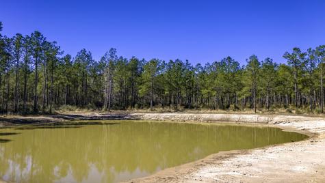 045 S King Ranch Road Onalaska TX 77360
