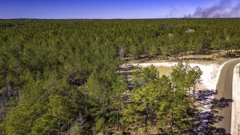 045 S King Ranch Road Onalaska TX 77360