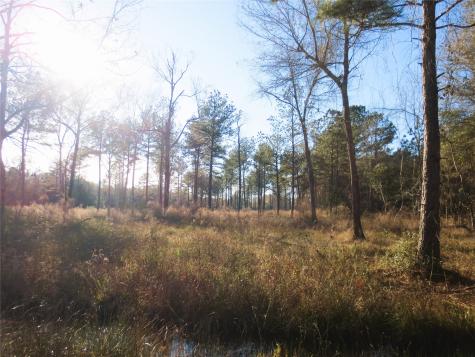12 Acres Off W Relza Road Splendora TX 77372