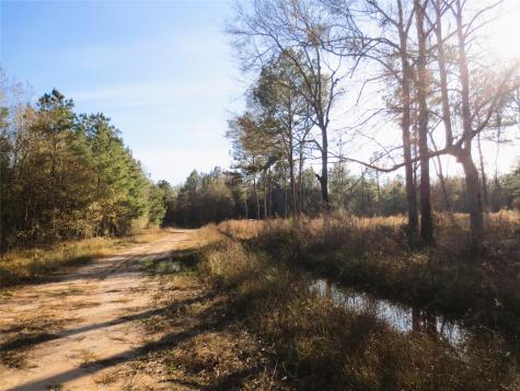 12 Acres Off W Relza Road Splendora TX 77372