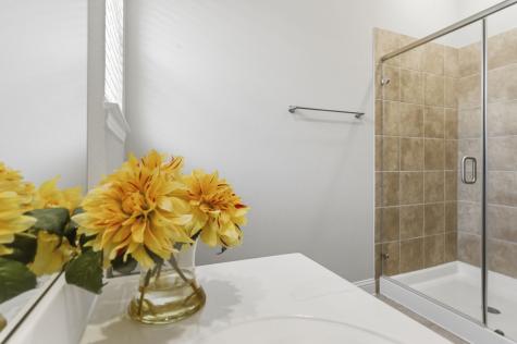 6402 Pomegranate Blossom Drive Katy TX 77493