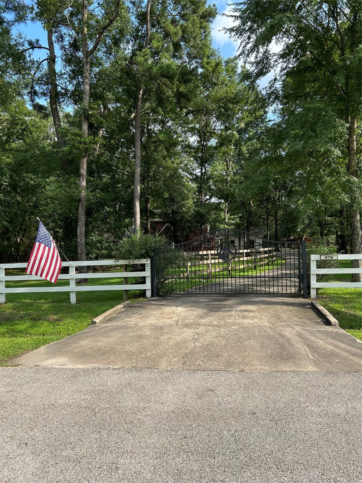 9119 Diamante Drive Magnolia TX 77354