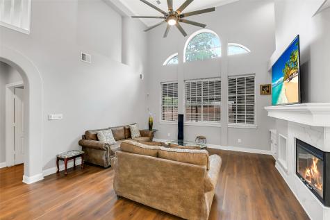 18414 Bull Pine Drive Spring TX 77379
