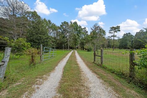 253 Pinckard Road Livingston TX 77351