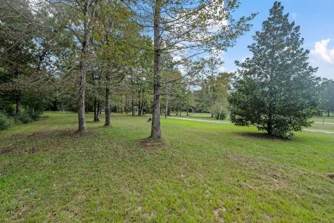 253 Pinckard Road Livingston TX 77351
