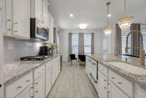 3131 Red Buckeye Lane Conroe TX 77301