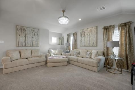 3131 Red Buckeye Lane Conroe TX 77301