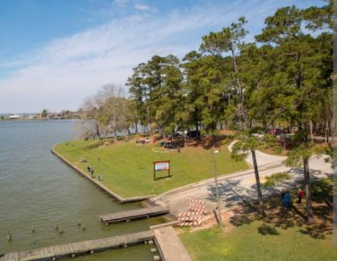190 Briar Meadows Drive Coldspring TX 77331