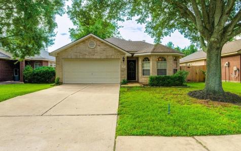 250 Saddleback Springs Drive Richmond TX 77469