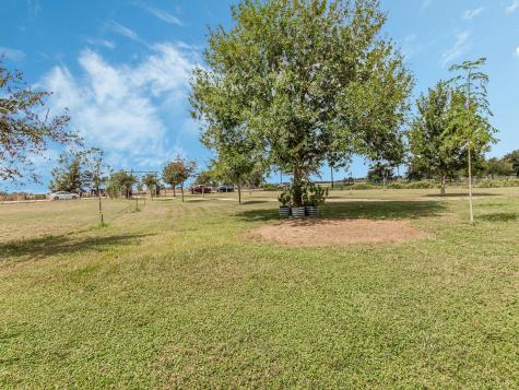 2234 Hopkins Road Beasley TX 77417