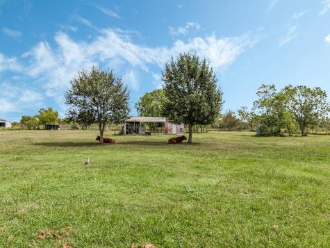 2234 Hopkins Road Beasley TX 77417