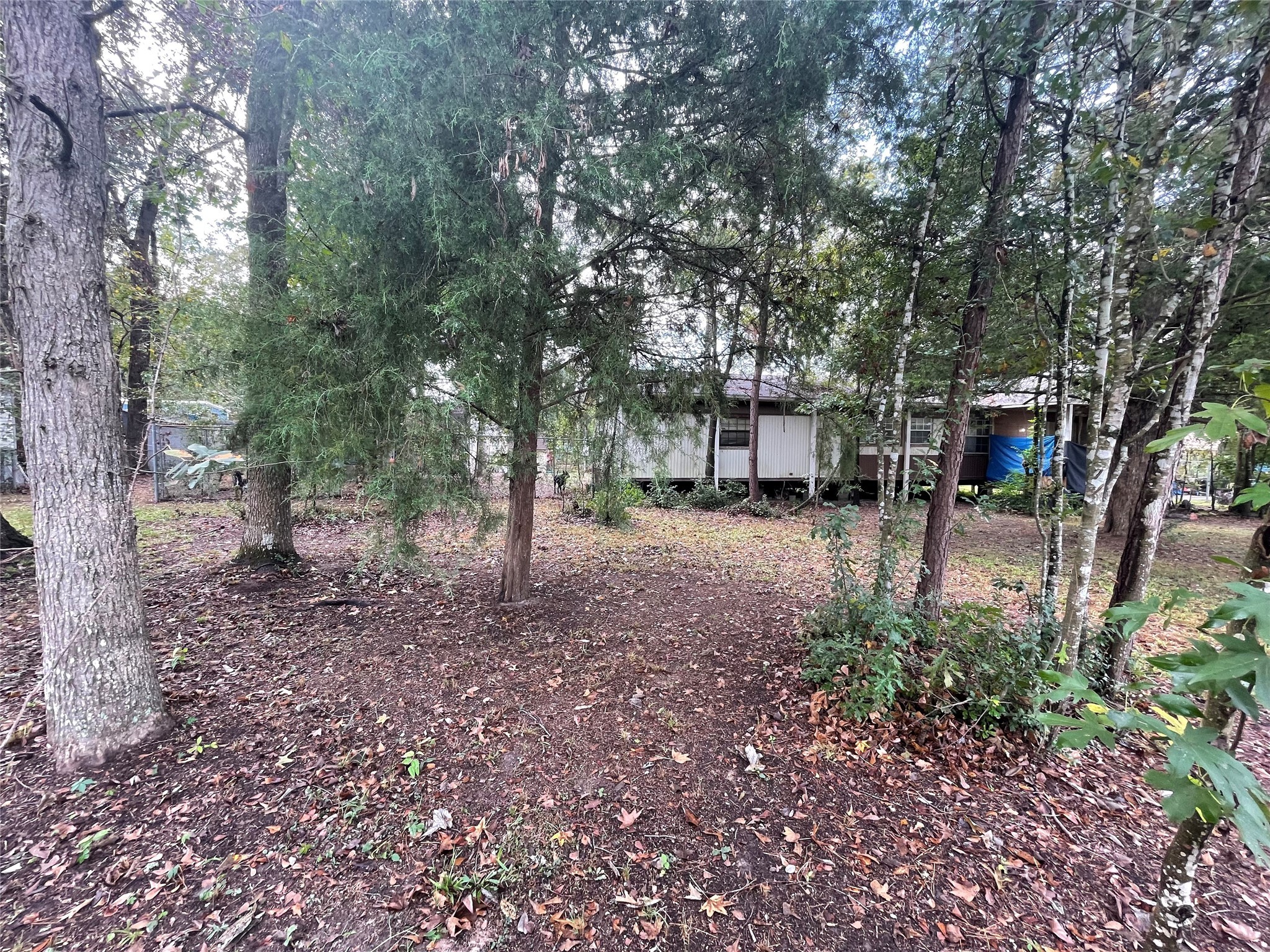 21286 North Street New Caney TX 77357