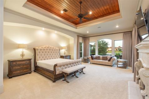 14 Ivy Bend Lane Sugar Land TX 77479