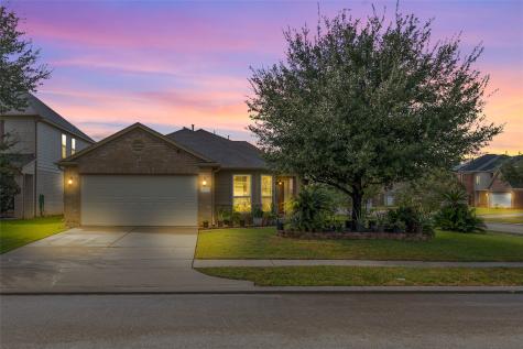 11031 Bauer Elm Street Houston TX 77044