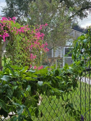 2505 Mary Avenue Pearland TX 77581