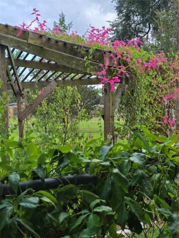 2505 Mary Avenue Pearland TX 77581