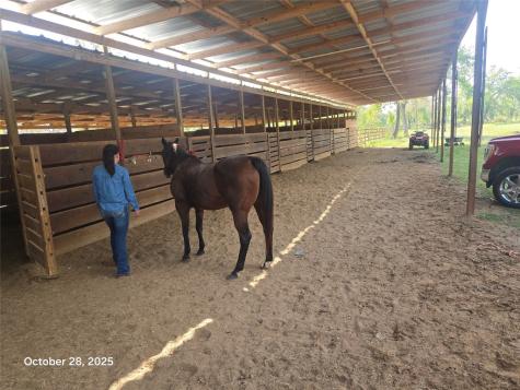 4915 W Fm 1462 Rosharon TX 77583