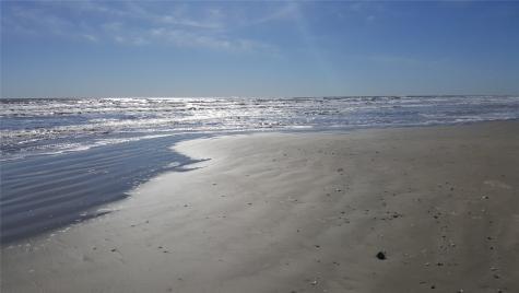 4131 Las Palmas Street Galveston TX 77554