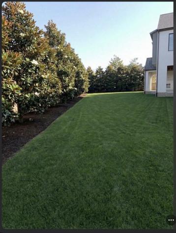10815 Briar Branch Lane Houston TX 77024