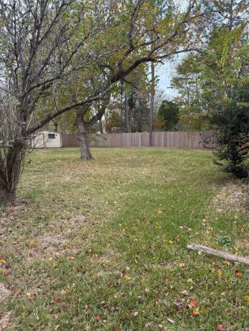 18303 Anne Drive Webster TX 77058