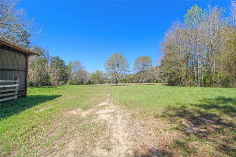 115 Corry Jones Livingston TX 77351