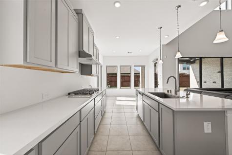 430 Texas Terragon Trace Richmond TX 77406
