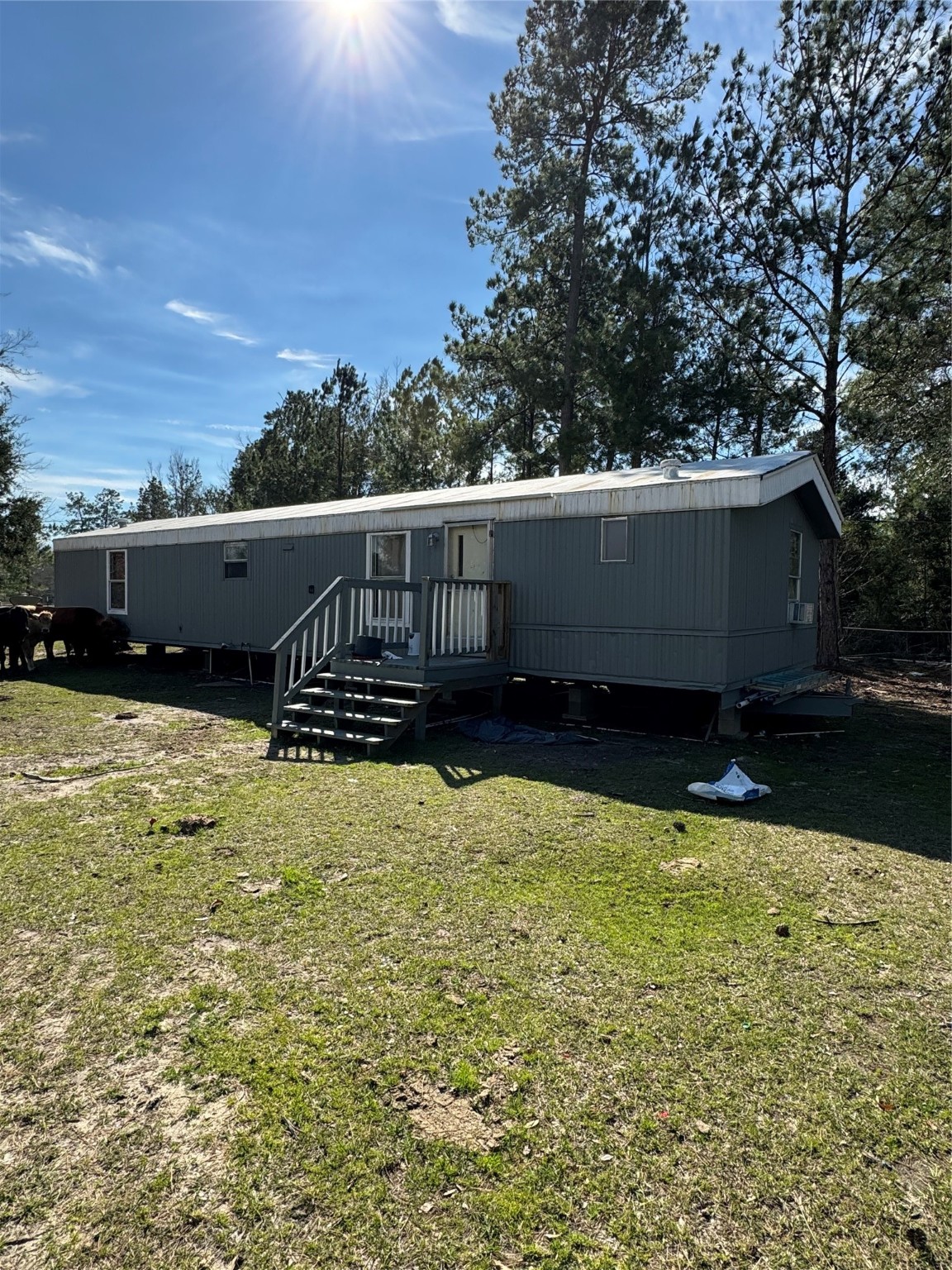 3660 Fm 1013 Road Hillister TX 77624