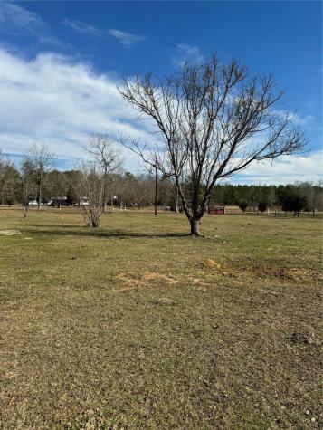 3660 Fm 1013 Road Hillister TX 77624