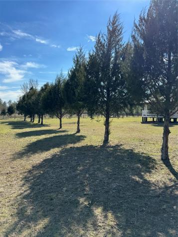 3660 Fm 1013 Road Hillister TX 77624