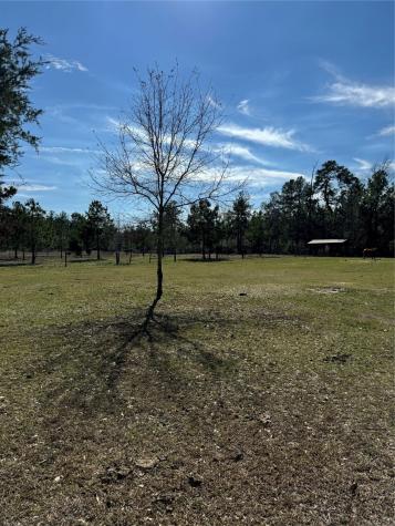 3660 Fm 1013 Road Hillister TX 77624