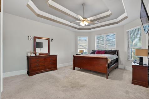 203 Terrain View Court Willis TX 77318